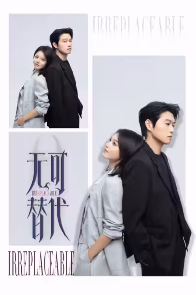 Irreplaceable Season 1