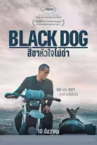 สี่ขาหัวใจไม่ดำ