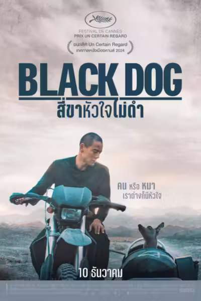 Black Dog