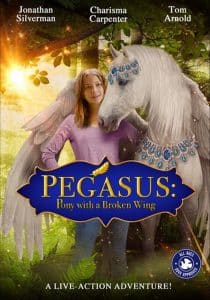 ดูหนังออนไลน์ Pegasus Pony with a Broken Wing (2019) ม้าเพกาซัสที่มีปีกหัก HD