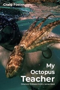 ดูหนังออนไลน์ My Octopus Teacher (2020) บทเรียนจากปลาหมึก HD