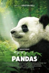 ดูหนังออนไลน์ฟรี Pandas (2018)