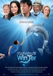 ดูหนัง Dolphin Tale 1 (2011) มหัศจรรย์โลมาหัวใจนักสู้ HD