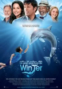 ดูหนังออนไลน์ Dolphin Tale 1 (2011) มหัศจรรย์โลมาหัวใจนักสู้ HD