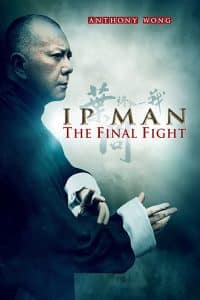 Ip Man The Final Fight (2013) หมัดสุดท้าย ปรมาจารย์ยิปมัน