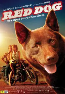 ดูหนัง Red Dog (2011) เพื่อนซี้ หัวใจหยุดโลก (เต็มเรื่องฟรี)