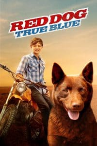 ดูหนังออนไลน์ Red Dog: True Blue (2016) เพื่อนซี้หัวใจหยุดโลก 2
