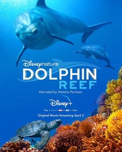 ดูหนัง Dolphin Reef (2020) อัศจรรย์ชีวิตของโลมา (เต็มเรื่องฟรี)