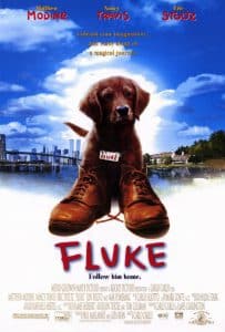 ดูหนัง Fluke (1995) เกิดใหม่กลายเป็นหมา (เต็มเรื่องฟรี)