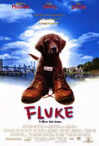 ดูหนังออนไลน์ Fluke (1995) เกิดใหม่กลายเป็นหมา HD