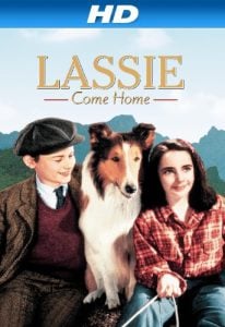 ดูหนังออนไลน์ Lassie Come Home (1943)