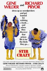 ดูหนังออนไลน์ Stir Crazy (1980) HD
