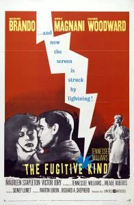 ดูหนังออนไลน์ The Fugitive Kind (1960) HD