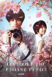 ดูหนัง Love Like the Falling Petals (My Dearest, Like a Cherry Blossom) (2022) ใบไม้ผลิที่ไม่มีเธอเป็นซากุระ เต็มเรื่อง