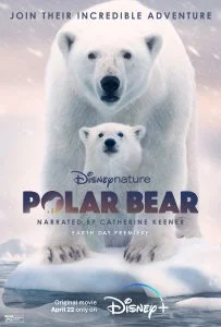 ดูหนังออนไลน์ Polar Bear (2022) โพล่าแบร์ HD