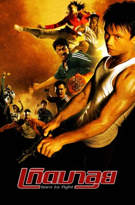 ดูหนัง Born To Fight (2004) เกิดมาลุย
