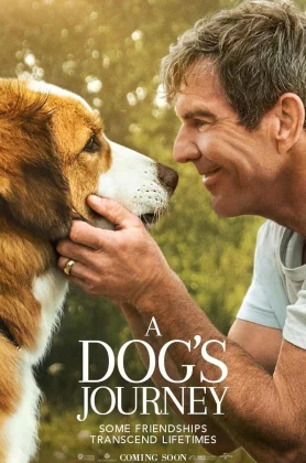 ดูหนังออนไลน์ A Dog’s Journey (2019) หมา เป้าหมาย และเด็กชายของผม 2 HD