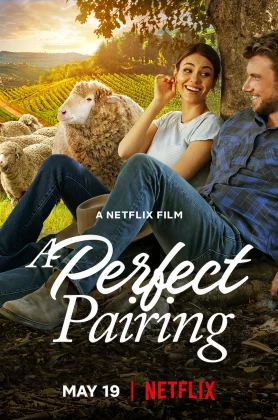 ดูหนัง A Perfect Pairing (2022) คู่นี้… คือเพอร์เฟค เต็มเรื่อง