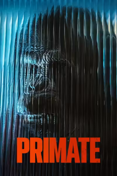 Primate